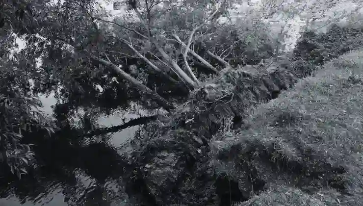 Riverbank Collapse Iford Playing Fields